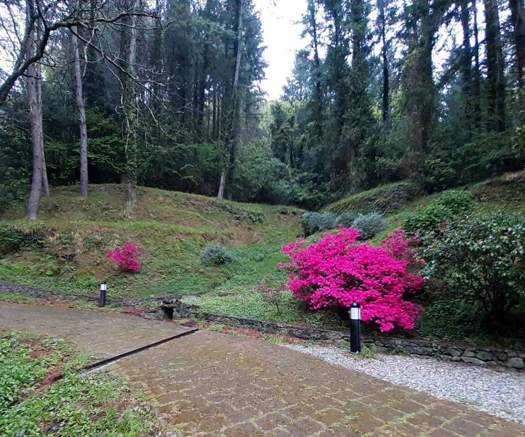 Il Bosco Di Campo Marzano Rooms & Apartments Borzonasca Exteriör bild