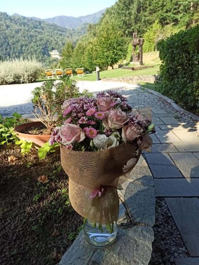 Il Bosco Di Campo Marzano Rooms & Apartments Borzonasca Exteriör bild