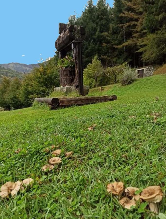 Il Bosco Di Campo Marzano Rooms & Apartments Borzonasca Exteriör bild