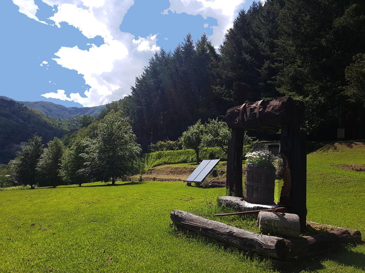 Il Bosco Di Campo Marzano Rooms & Apartments Borzonasca Exteriör bild
