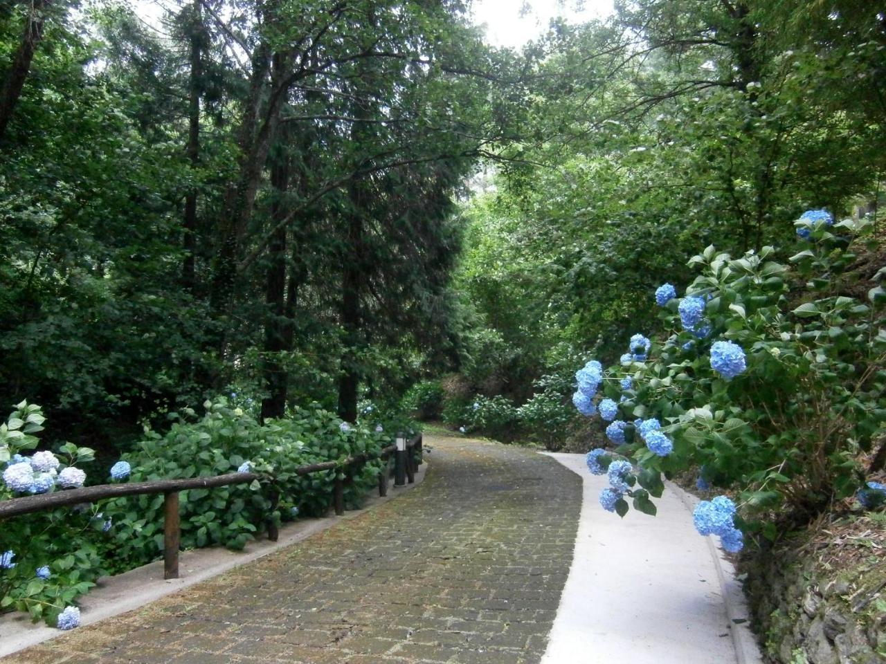 Il Bosco Di Campo Marzano Rooms & Apartments Borzonasca Exteriör bild
