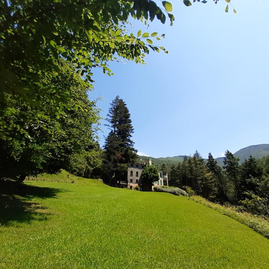 Il Bosco Di Campo Marzano Rooms & Apartments Borzonasca Exteriör bild