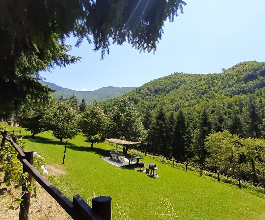 Il Bosco Di Campo Marzano Rooms & Apartments Borzonasca Exteriör bild